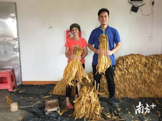 ��ƶһ��ȼ���ഺ����������90�󡱵�һ���Ϊƶ������조���ߡ��������