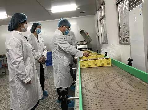 ͬ�Ŀ��ߣ�������������ȷ���������ط�365��˾��¡���⳵����ܹ�ҩ�����������Ӱ���С�����鶽��