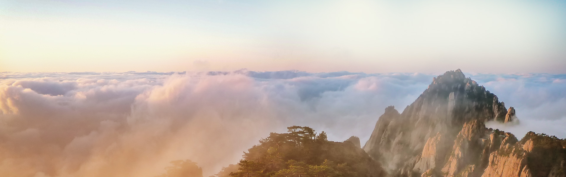 �ط�365(����)��Ȥ��Ͷ����ط�