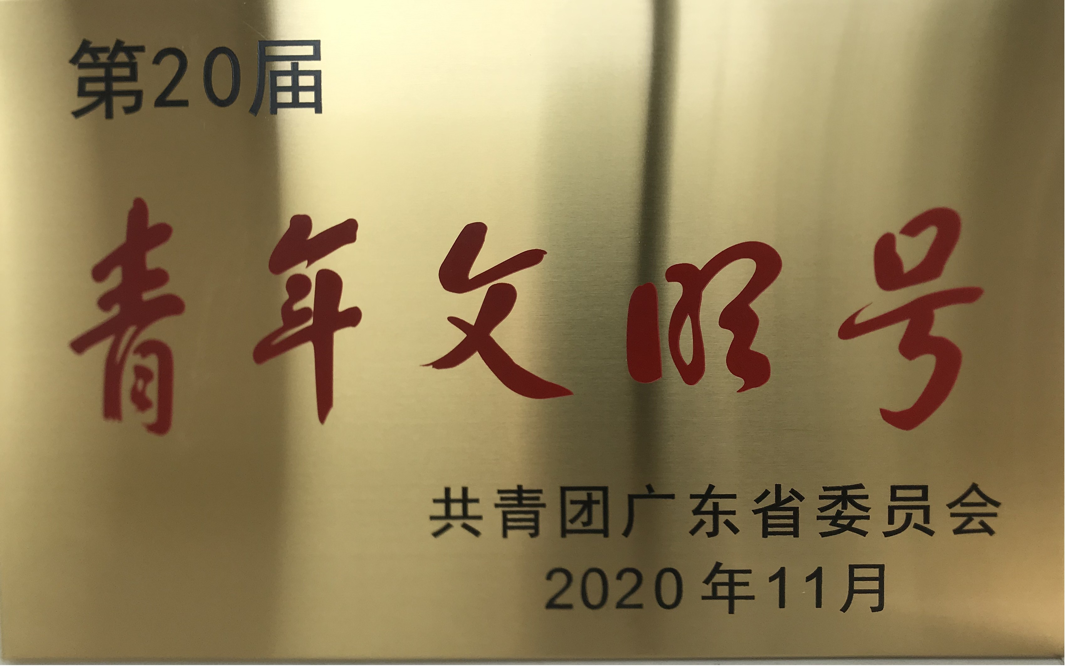 �㶫ʡ����������