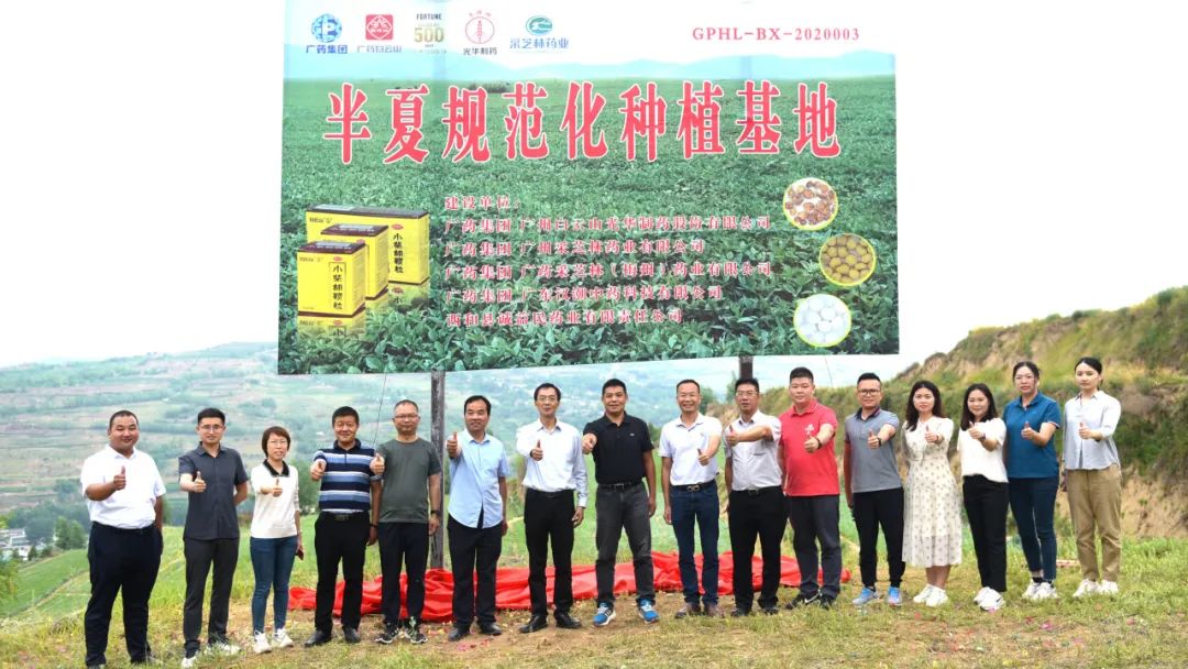 ����ɽ�ط�365��˾ʵ�ؿ��������ҩ�Ĺ淶������